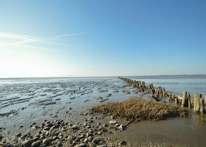 Sdr Frankel Xi Casa vacanze *